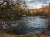 IMG 7402 : Loch Ness, Scotland