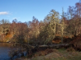 IMG 7417 : Loch Ness, Scotland