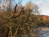 IMG 7419 : Loch Ness, Scotland