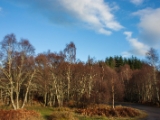 IMG 7428 : Loch Ness, Scotland