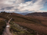 IMG 7445 : Loch Ness, Scotland