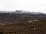 IMG 7454 : Loch Ness, Scotland