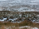 IMG 7542 : Scotland
