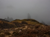 IMG 7634 : Isle of Skye, Scotland, Trotternish