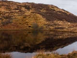 IMG 7676 : Isle of Skye, Scotland, Trotternish