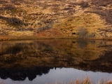 IMG 7677 : Isle of Skye, Scotland, Trotternish