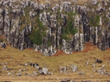 IMG 7762 : Isle of Skye, Scotland, Trotternish