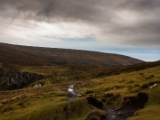 IMG 7810 : Isle of Skye, Scotland, Trotternish