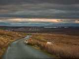 IMG 7867 : Isle of Skye, Scotland, Trotternish