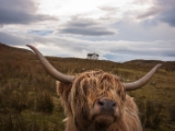 IMG 7985 : Dairnish, Isle of Skye, Scotland