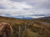 IMG 7986 : Dairnish, Isle of Skye, Scotland