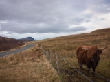 IMG 7987 : Dairnish, Isle of Skye, Scotland