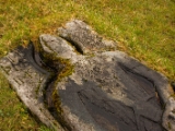 IMG 7999 : Dairnish, Isle of Skye, Scotland