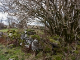 IMG 8002 : Dairnish, Isle of Skye, Scotland
