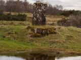 IMG 8017 : Dairnish, Isle of Skye, Scotland