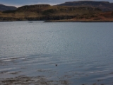 IMG 8061 : Dairnish, Isle of Skye, Scotland