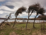 IMG 8089 : Dairnish, Isle of Skye, Scotland