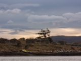 IMG 8106 : Dairnish, Isle of Skye, Scotland