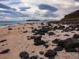 IMG 8178 : Dairnish, Isle of Skye, Scotland