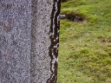 IMG 8332 : Isle of Skye, Scotland