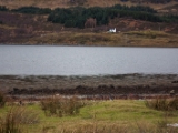 IMG 8352 : Isle of Skye, Scotland