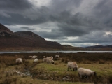 IMG 8376 : Isle of Skye, Scotland