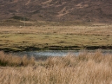 IMG 8466 : Isle of Skye, Scotland