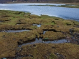 IMG 8475 : Isle of Skye, Scotland