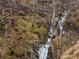 IMG 8695 : Scotland