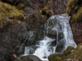 IMG 8704 : Scotland