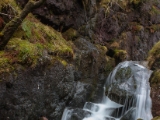 IMG 8706 : Scotland