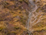 IMG 8729 : Scotland