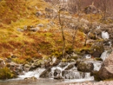 IMG 8747 : Scotland