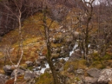 IMG 8760 : Scotland