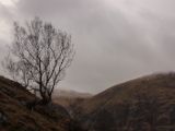 IMG 8769 : Scotland