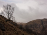 IMG 8771 : Scotland