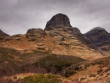 IMG 8775 : Scotland