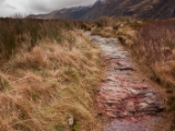 IMG 8776 : Scotland