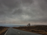IMG 8791 : Scotland