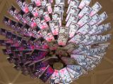 20120805 IMG 4160