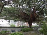 20120806 IMG 4162