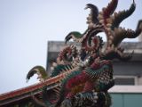 20120806 IMG 4208