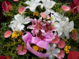 20120806 IMG 4211
