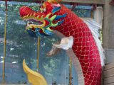 20120806 IMG 4212