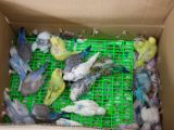 20120806 IMG 4228