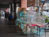 20120806 IMG 4236