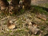 20120806 IMG 4248
