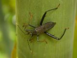 20120806 IMG 4249