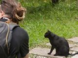 20120806 IMG 4255