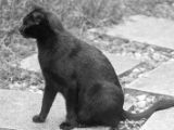 20120806 IMG 4258